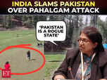 Image for Pahalgam Attack | ‘Pakistan is a rogue state’: India blasts Pakistan