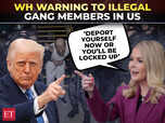 Image for Trump admin warns illegal gangs